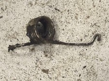 # ressort pedale de frein monet goyon s3g s6v 100 125 automoto