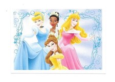 Vignette Disney - Princesse