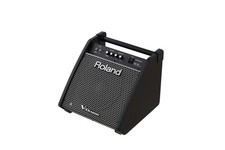 ROLAND PM-100 Moniteur