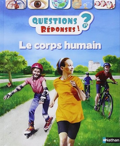Corps humain - corps,