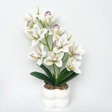 Orchidée Cymbidium rose