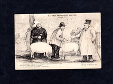 Carte postale CPA : cochon (