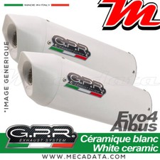 Silencieux Pot d'échappement