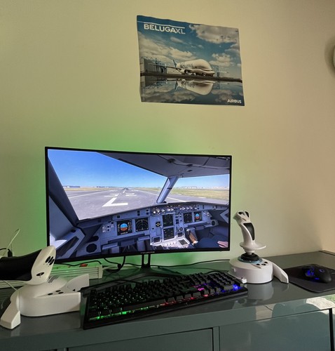 Thrustmaster flight hotas - t.flight,