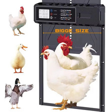 Porte Automatique De