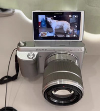 SONY Alpha NEX-F3  w/ 18-55mm