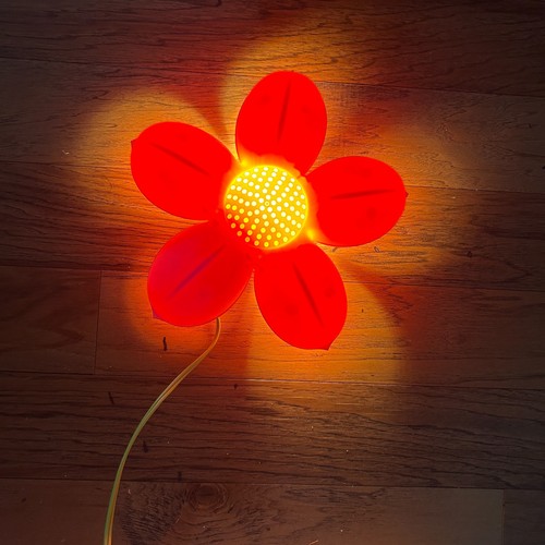 Ikea smila blomma - smila, flower