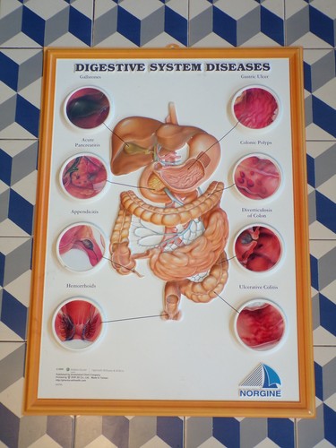 AFFICHE-ANATOMIE