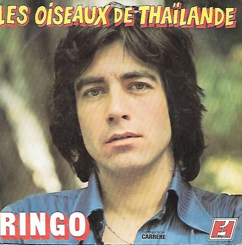 Ringo les oiseaux de - :,