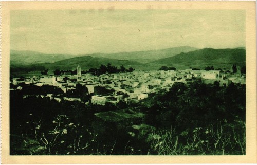 Cpa algeria nedroma - cpa, vue