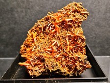 Sublime Crocoite De TASMANIE 