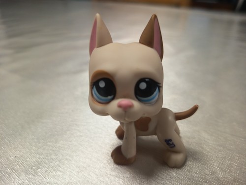 Hasbro lps petshop - hasbro, dogue