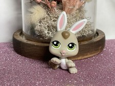 🌸 petshop lapin Lapereau