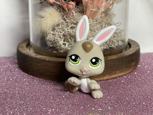 Petshop lapin lapereau - 🌸,