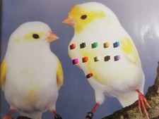 Bague PVC fermée 3mm pour