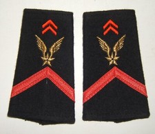 PAIRE DE FOURREAUX D'EPAULES