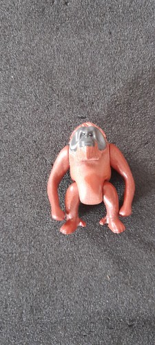 Animal singe orang outang - singe,