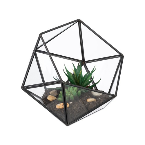 Terrarium deco - terrarium,