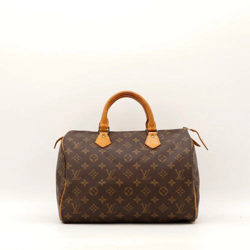 Sac main louis vuitton - main,