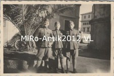 Photo, dt. Afrikakorps - Wehrmacht under Palmen, VL (80111)