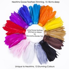 Ruban véritable plume