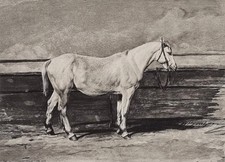 Estampe Rosa Bonheur signée & numérotée animal "Cheval à l'attache"