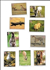 Etiquette de fromages ; 9 IMAGES VACHE QUI RIT écriture au dos en Arabe