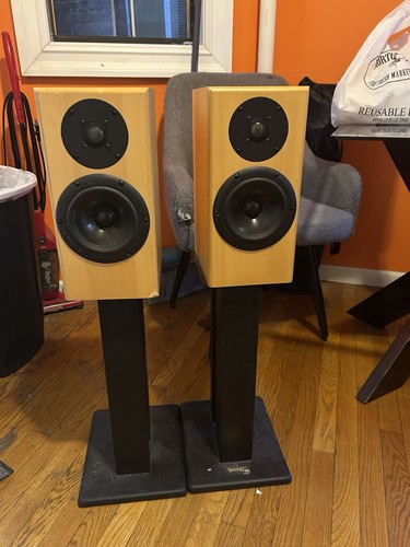Totem acoustic rainmaker - totem,