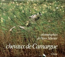 Chevaux camargue hans - camargue,