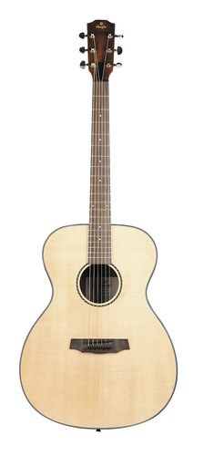 guitare acoustique auditorium