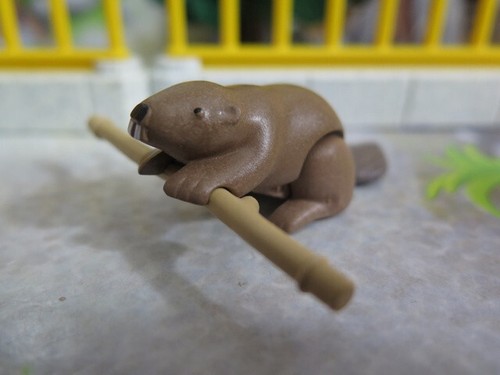 Castor clair animal wiltopia - castor,