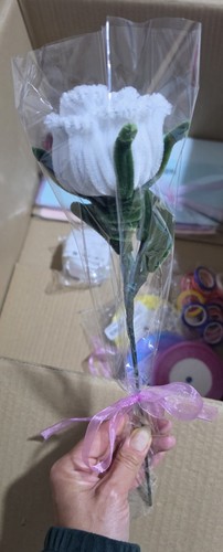 Rose eternelle fils - rose,