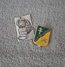 Insigne / pucelle 501 e