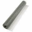 cage grillon