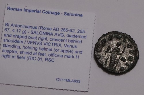 Salonina antoninianus - salonina,