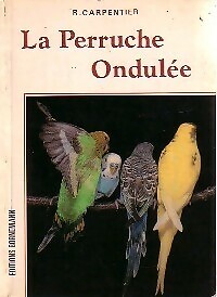 Perruche ondulée r - la,