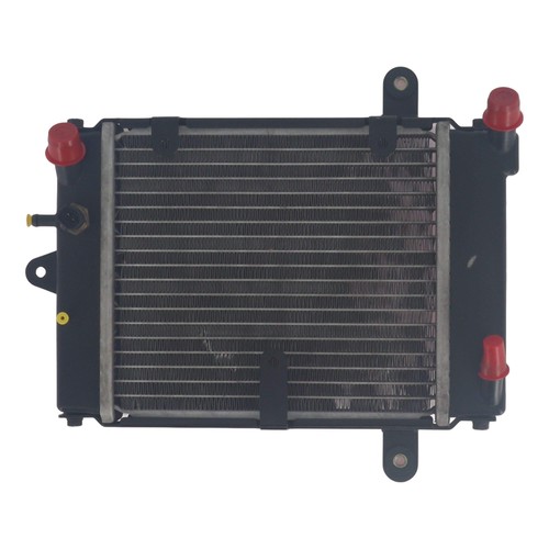 Radiateur daelim s3 touring - radiateur,