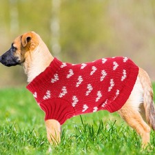  Pull Chien Vetement Petite