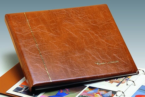 album safe cartes postales