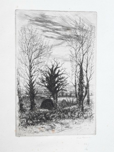 Arbre lierre grange gravure - arbre,