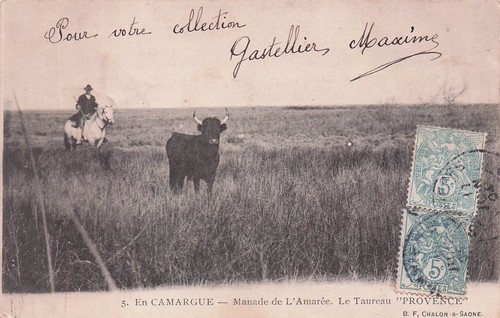 Camargue manade de - manade,