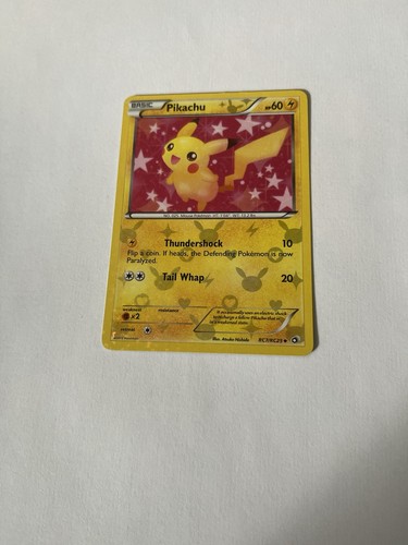 Pokemon pikachu legendary 2013 - pokemon,