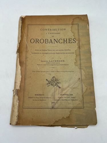 Orobanches gaston lavergne - gaston,