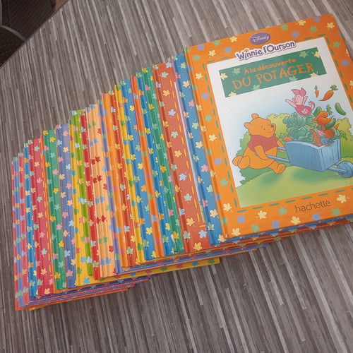Lot livres disney winnie - 30,