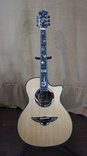 CHWOCHI Eagle C70 Fork guitare
