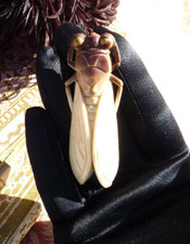 ANCIENNE BROCHE ZOOMORPHE CIGALE FANTAISIE en galalithe vers 1920