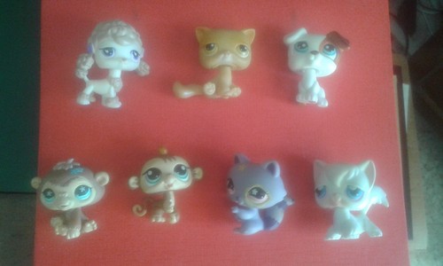 lps chien