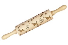 Petit Basset Griffon Vendéen