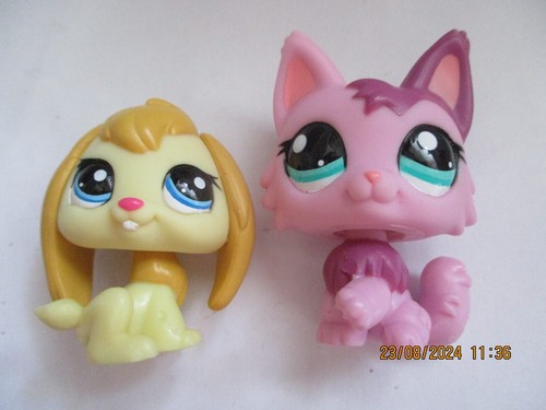 Petshop duo chat persan - petshop,