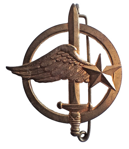 Insigne beret ber 011 - de,